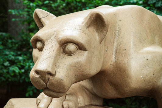 Celebrate Your Team Spirit with Spectacular College Football Mascot Sculptures!