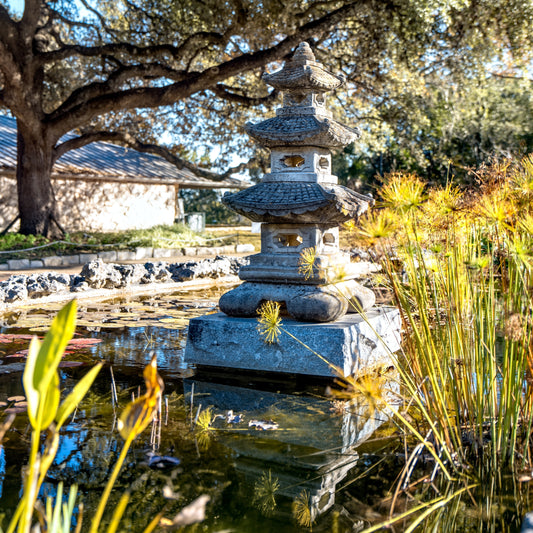 Using Bird Baths & Fountains for Wildlife Habitat & Biodiversity
