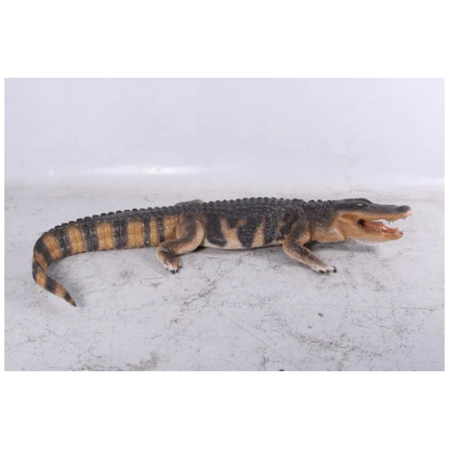 Display Statues American Alligator Life Size Statuary Realistic Prop - side view of the alligator