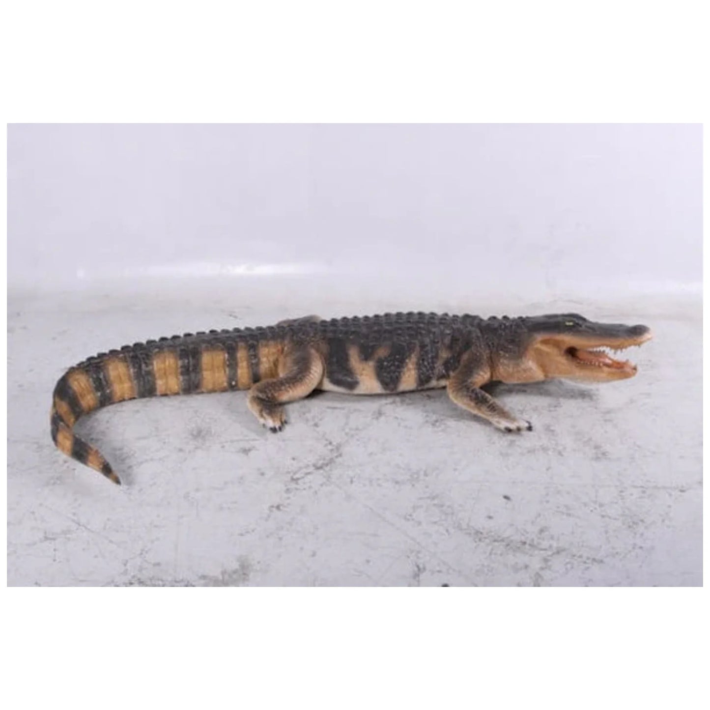 American Alligator Life Size Statue