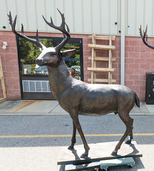Bronze buck statue in front of a building American White Tailed Deer Life-Size Bronze Sculpture