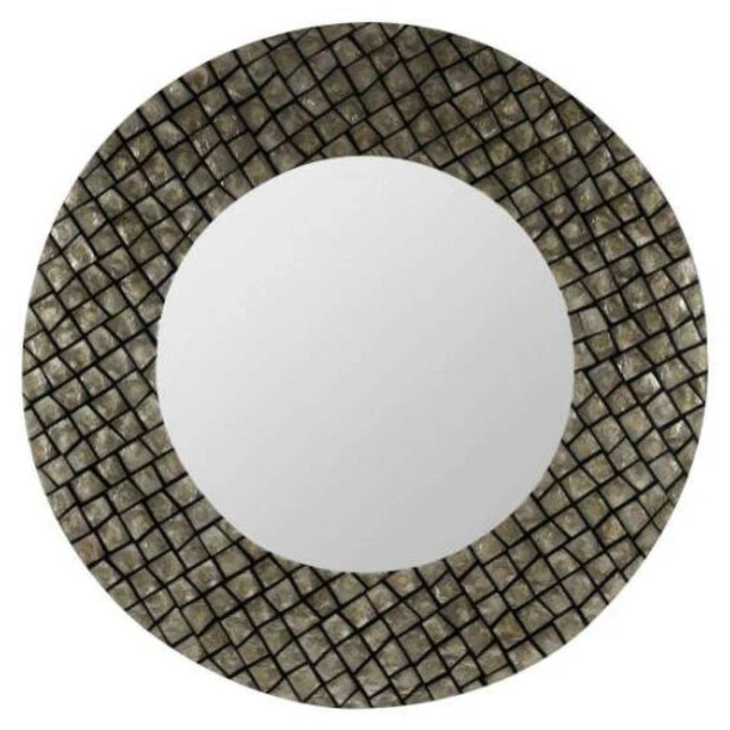 Ava Mirror Re-purposed Sea Shells Champagne and Black Finish