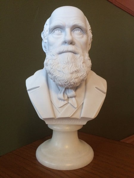 Bust of Darwin was a British Scientist Sculpture Portrait Head Statue