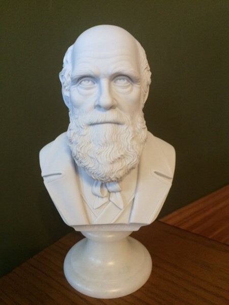 Bust of Charles Darwin Scientist Sculpture Portrait Head Statue Front