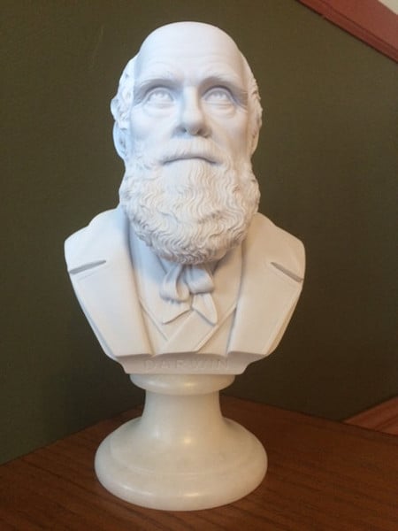 Bust of Charles Darwin Scientist Sculpture Portrait Head Statue View