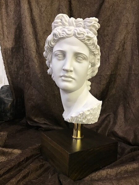 Apollo Belvedere on Base Bust Statue Marble Head Italian Sculpture