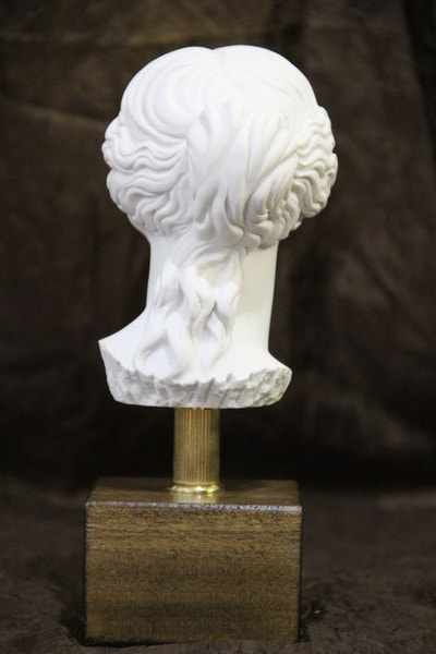 Aphrodite Venus Roman Goddess Bust Marble Head Greek Back View