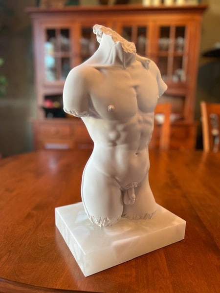 male nude David torso sculpture Anatomy Michelangelo study statue body