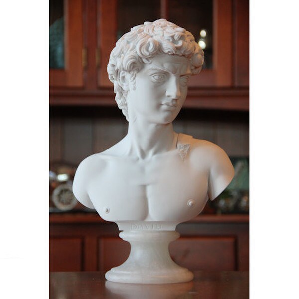 David Bust Sculptural Portrait by Michelangelo face study sculpture statue