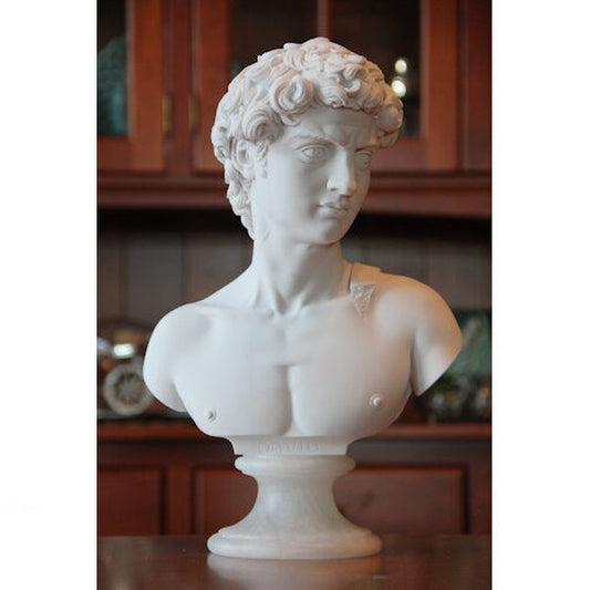 David Bust Sculptural Portrait by Michelangelo face study sculpture statue