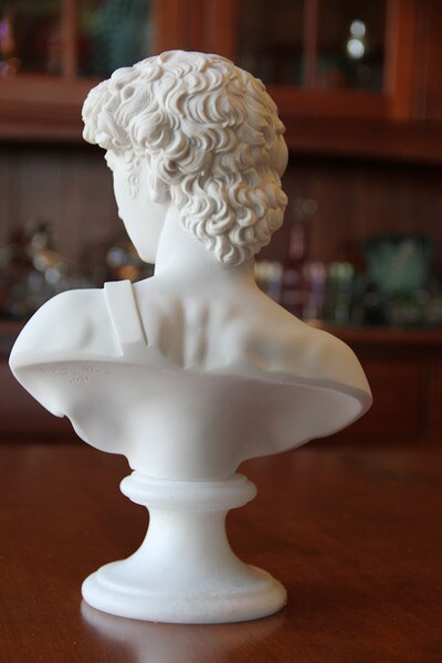 Master of Marble MichelangeloΓ’β¬β’s David Bust Replica The Pinnacle Portrait