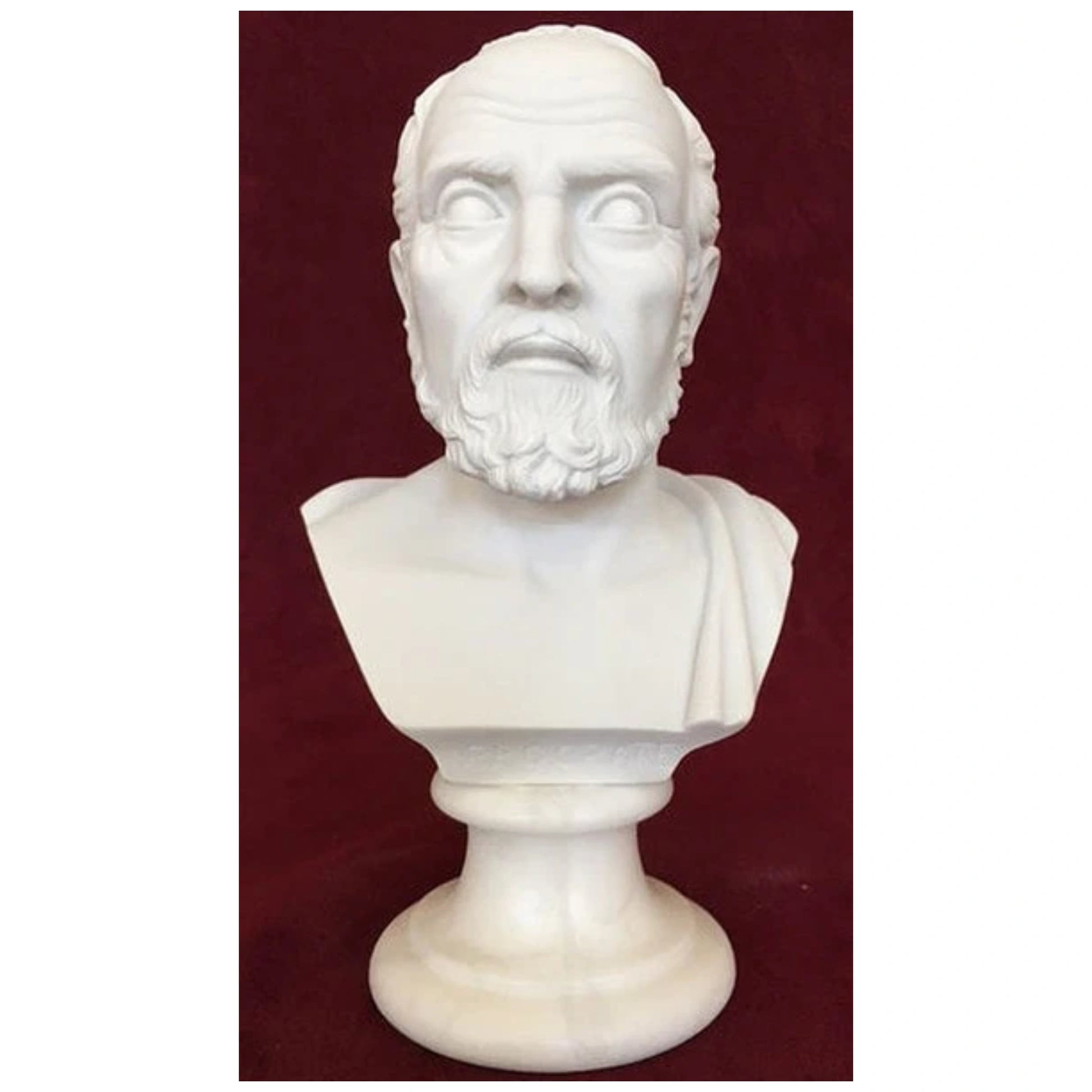 Bust of Hippocrates Father of Medicine Sculpture Head Statue