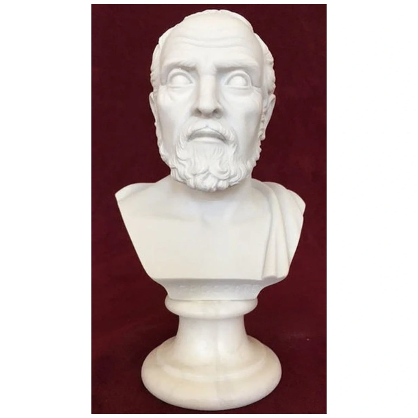 Bust of Hippocrates Marble Sculpture