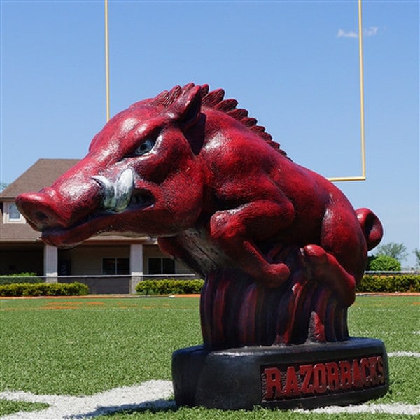 Arkansas Razorback College Mascot Cement Statue Stone Sculpture