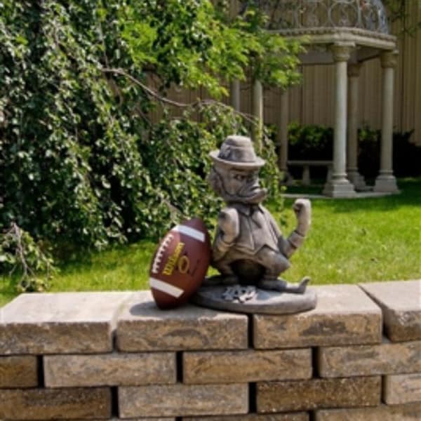 Notre Dame "Leprechaun" College Mascot