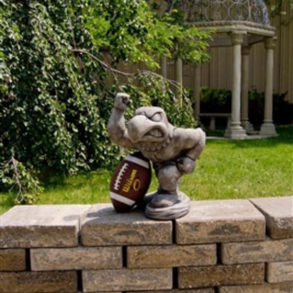 Iowa "Herky" College Mascot