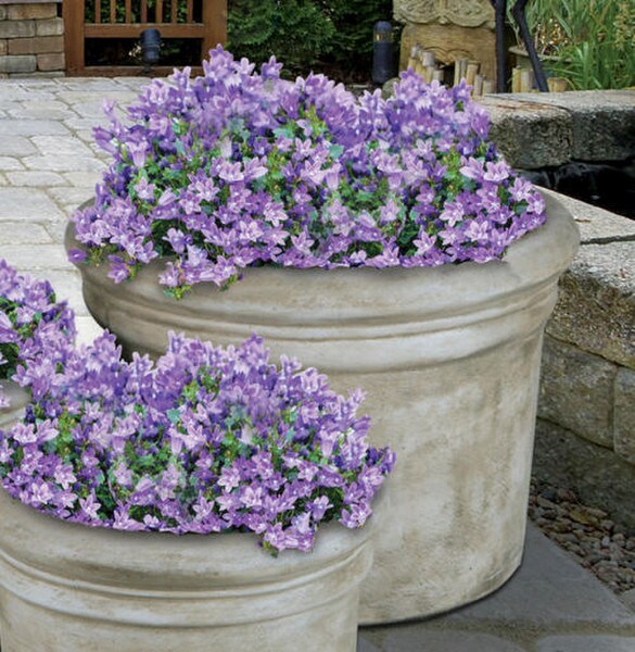 Rolled Rim Planter Large Cast Stone Heavy Duty Concrete Sculptural