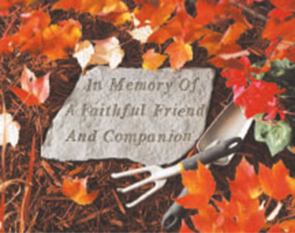 In Memory Of Faithful