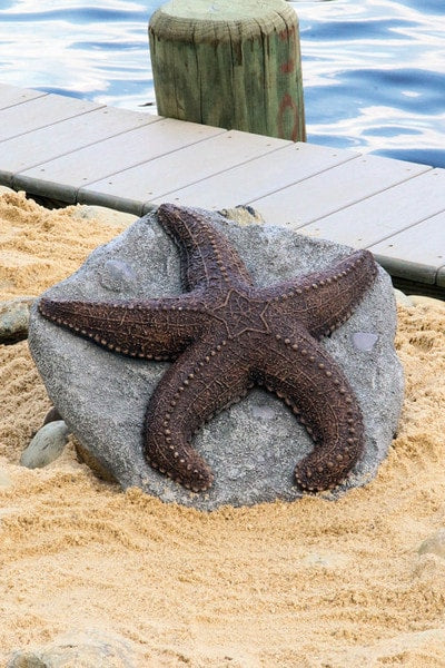 Deep Sea Starfish Sculpture Great for the Beach Home