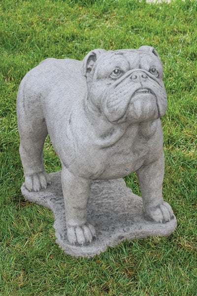 English Bulldog Life-Size Statue Cement Garden Figure Large Mascot