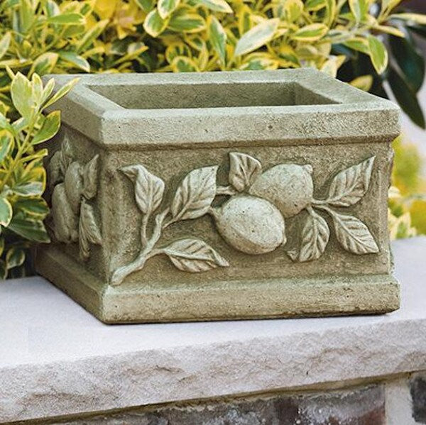Mediterranean Square Limone Planter Cement Garden Lemons Decorative