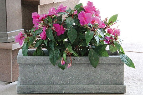 Elevate your outdoor Ravelli Rectangle Planter made of cement stone