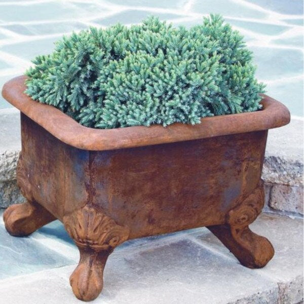 Basin Cement Planter with Feet Ball and Claw Antique Replica Pot Reproductions