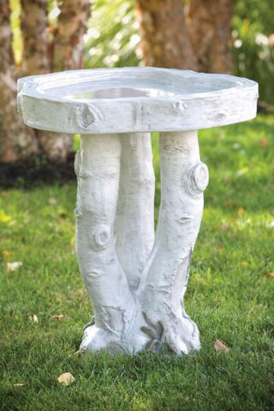 Birch Wood Bird Bath Garden Sculpture Statuary Branches Tree looking