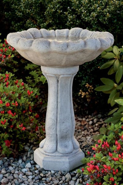 Flower Top Bird Bath Basin Shaped of Blossom Cement Statuary Artwork
