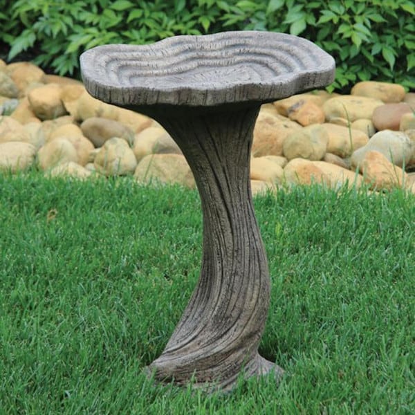 Cement Discover the allure of the Petite One Piece Driftwood Birdbath