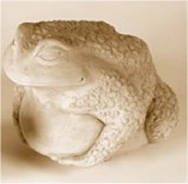 Fat Frog Large