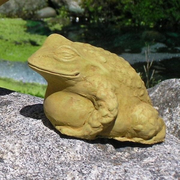 A small fat frog statue, a lovely accent sculpture for you garden