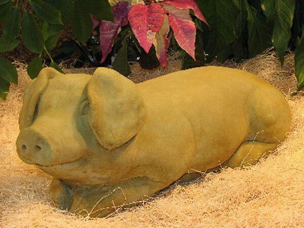 Cement Pig Statue - Reclining Piglet with large floppy ears resting