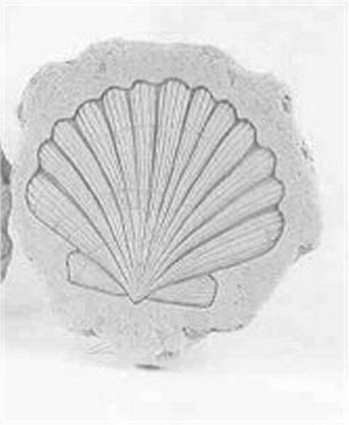 Stone Stepping Stone with Shell etched into the center