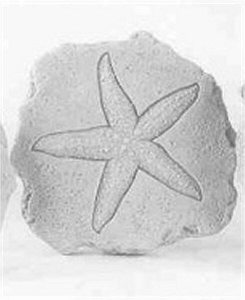 Starfish Stepstone Sculpted