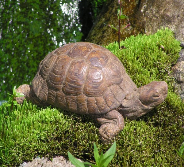 Box Turtle Statue