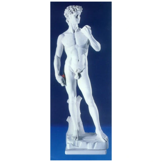 Carrara Marble David by Michelangelo Made in Italy Sculpture