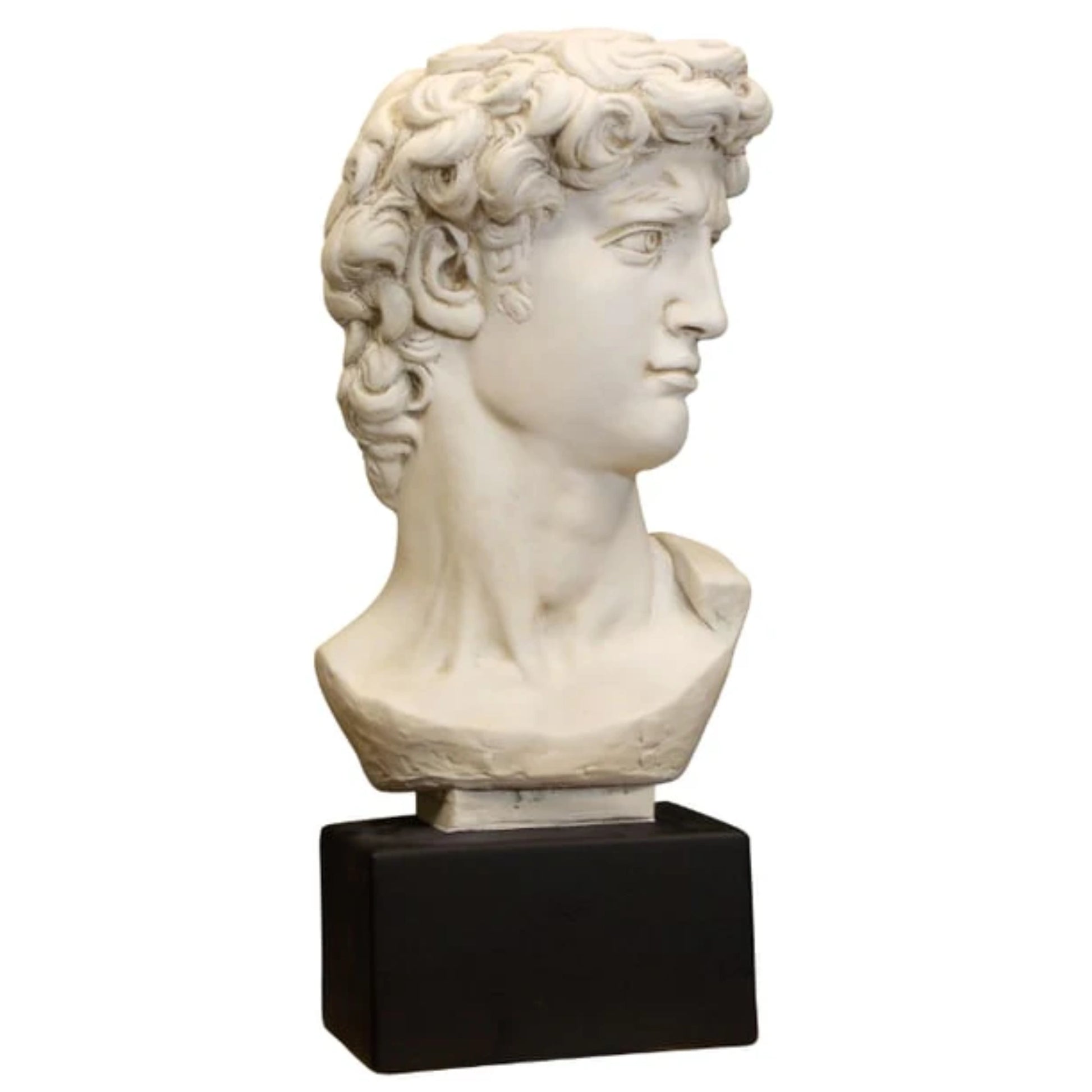 Plaster Art Grade David Bust By Michelangelo Statue Head Portraiture