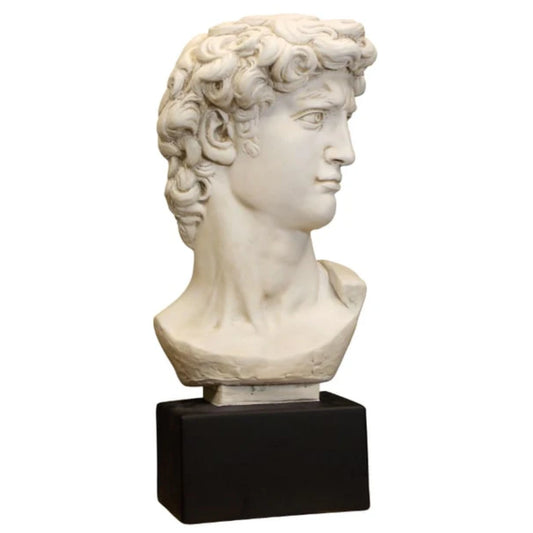 Plaster Art Grade David Bust By Michelangelo Statue Head Portraiture