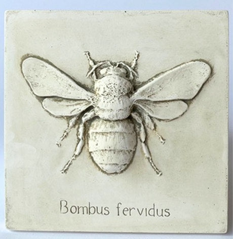 Entomology Bee Study Wall Sculpture