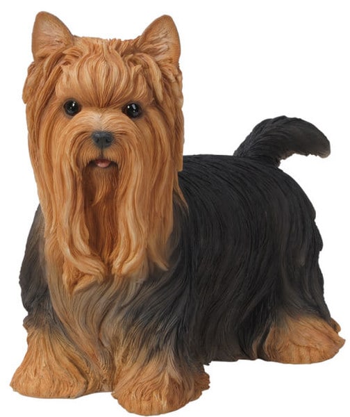 Yorkie Dog Large Statue Realistic Eyes Lovable Breed