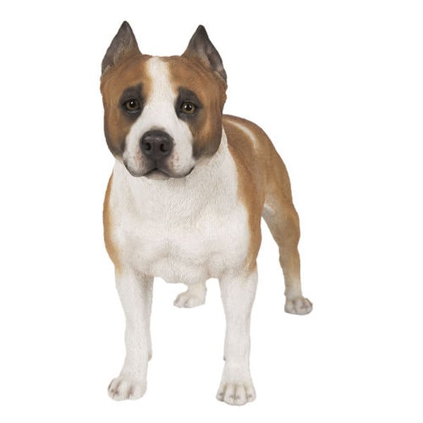 Pit Bull Dog Statue Realistic Reproduction Scale Size Model Sculpture