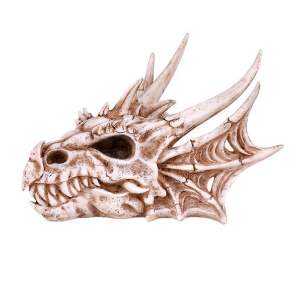 Dragon Skull Statue Replica Reproduction Head Unique Fantasy