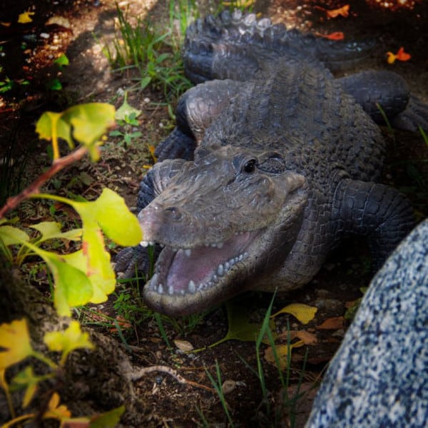 Alligator Realistic Garden Sculpture Crocodile Gator Statue life like