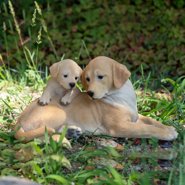 Outdoor garden Realistic Dog Breed Labrador Mother with Puppy Figurine Statue