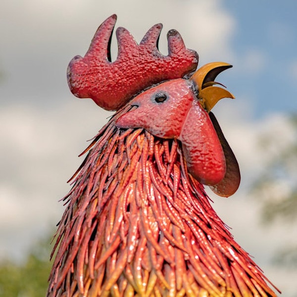 Giant Sculpture Iron Rooster Garden Statue Standing at five and a half feet