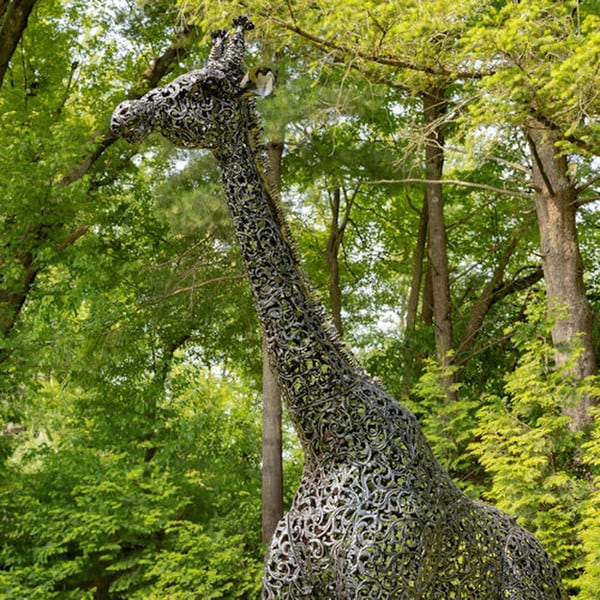 Graceful Twin Iron Giraffe Sculptures Stately Metal Art Duo Pair Statues