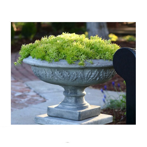 large leaf plants for outdoor pots Leaf Motif Planter Cast Stone Italian-Style Garden Vase