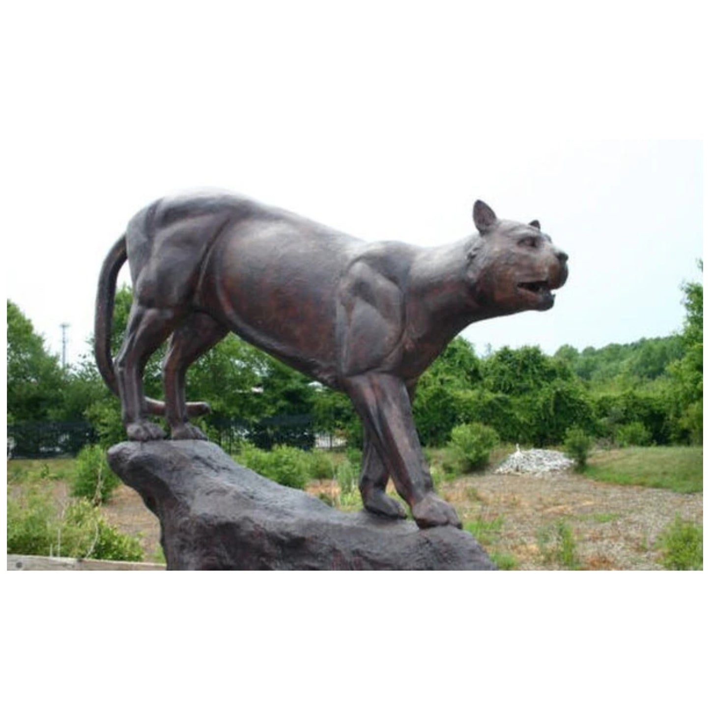 Bronze sculpture of a lioness mid-stride on a rock, with muscles defined and mouth open in a growl, set against a natural outdoor backdrop.