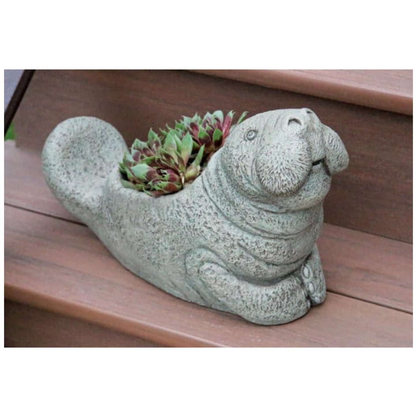 Manatee garden planter sculpture made of cast stone, safe for outdoor use. Whimsical and functional, it adds charm to patios, porches, or coastal landscapes.